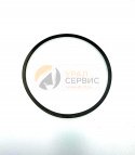 Купить Кольцо У35.615-01.064 (У35.605М-01.006-02) в интернет-магазине
